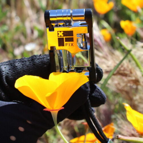 Searching for Superbloom